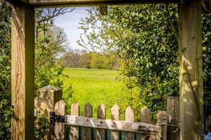 Photo 24- click for photo gallery